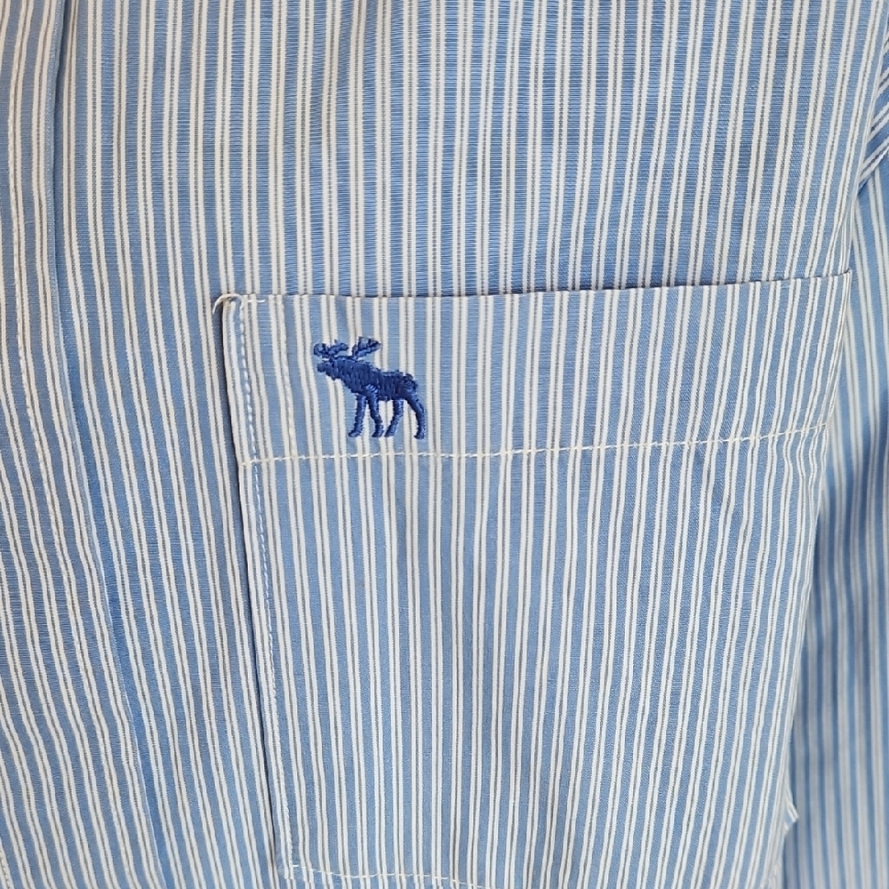 Abercrombie & Fitch Men's Blue Striped Dress Shirt - Picture 3 of 5